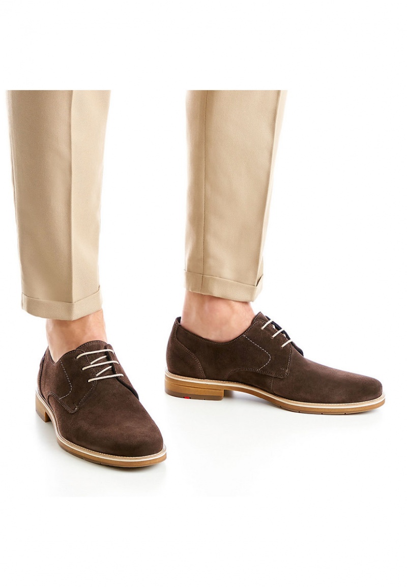 LLOYD LASS Brown | ZCP014835