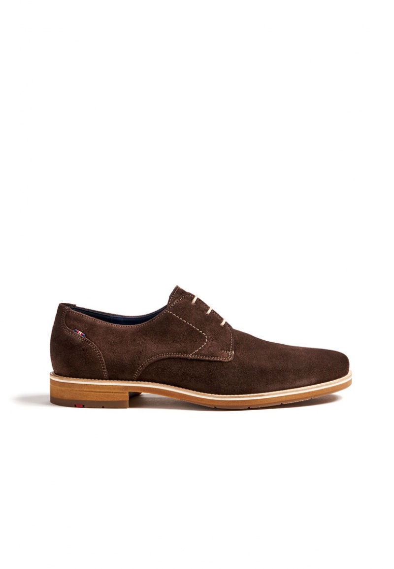 LLOYD LASS Brown | ZCP014835