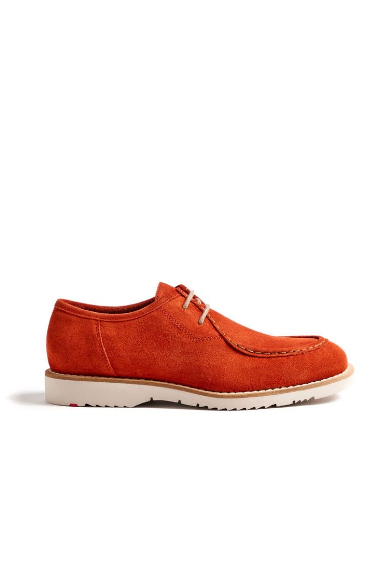 LLOYD LEVI Orange | LOF724593