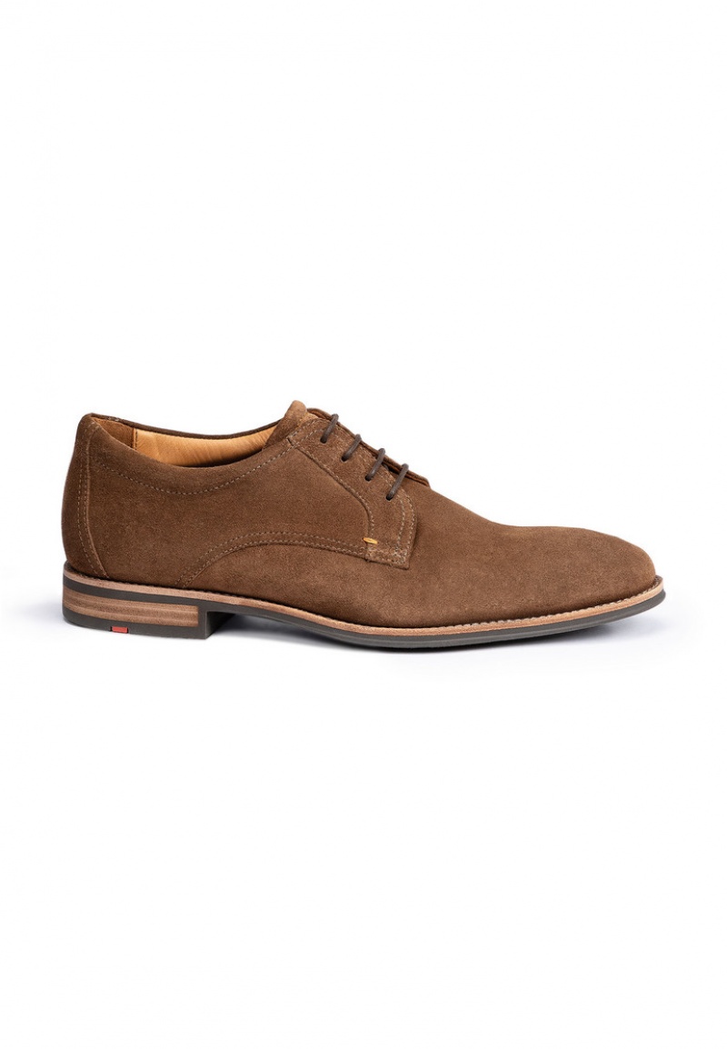 LLOYD MARE Brown | OJG583012