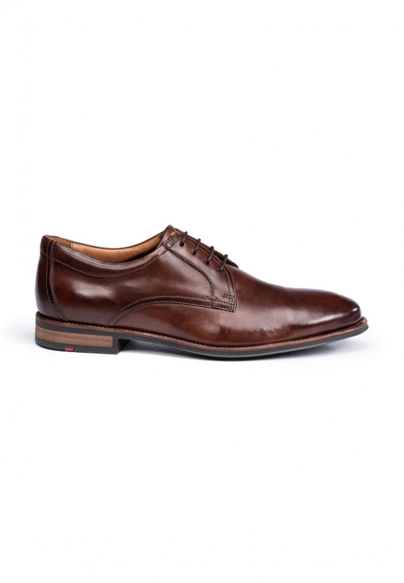 LLOYD MARE Brown | WSD310742