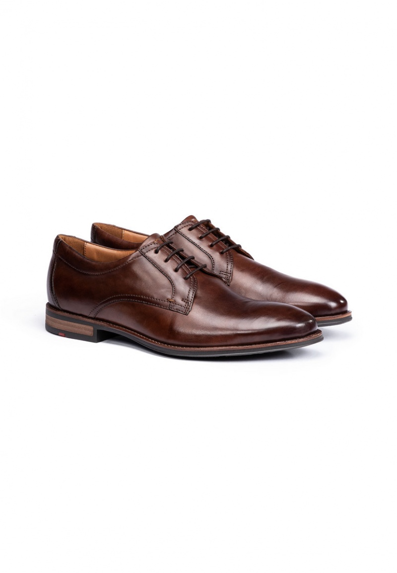 LLOYD MARE Brown | WSD310742