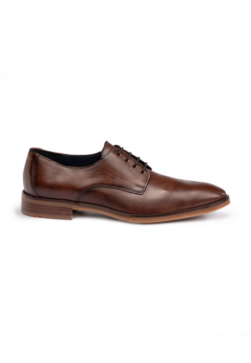 LLOYD OLOT Brown | ESH950423