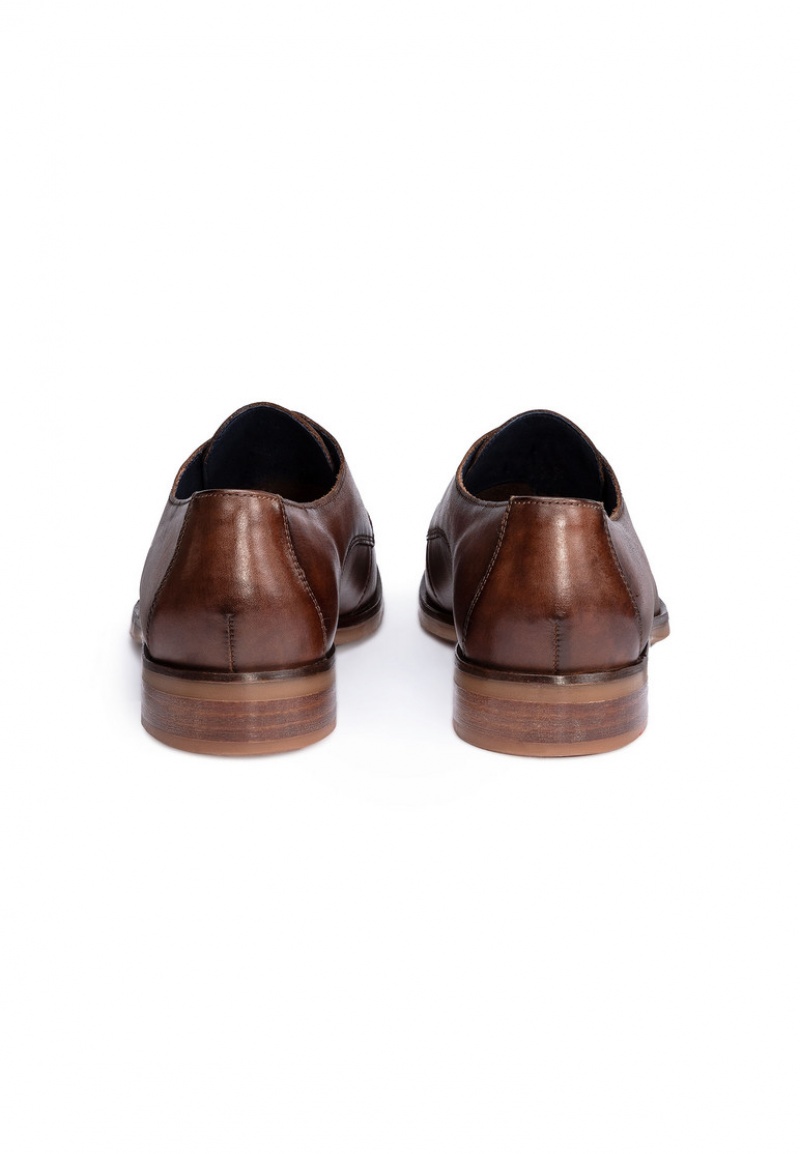 LLOYD OLOT Brown | ESH950423