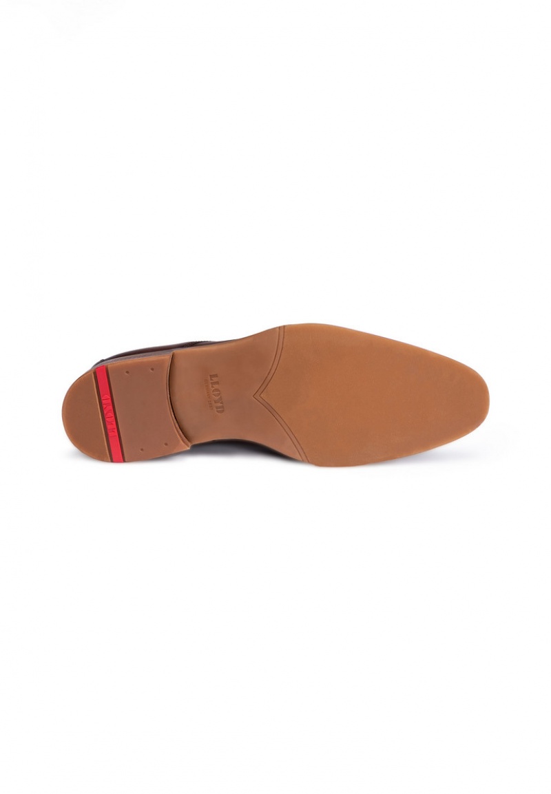 LLOYD OLOT Brown | ESH950423