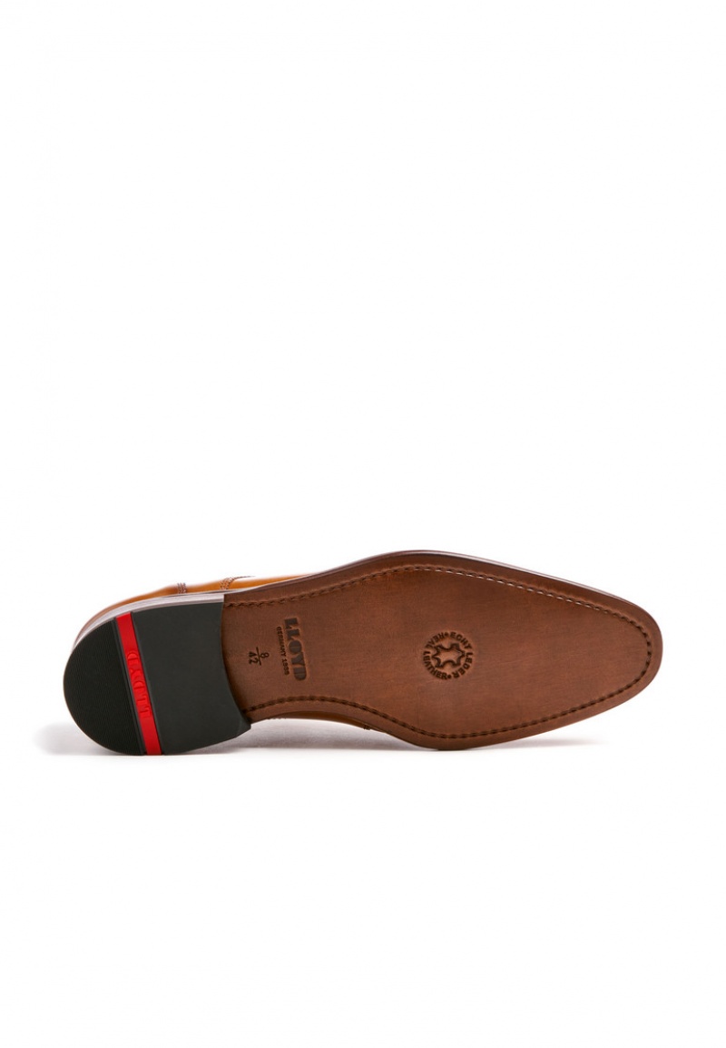 LLOYD PADOS Brown | DZK925876