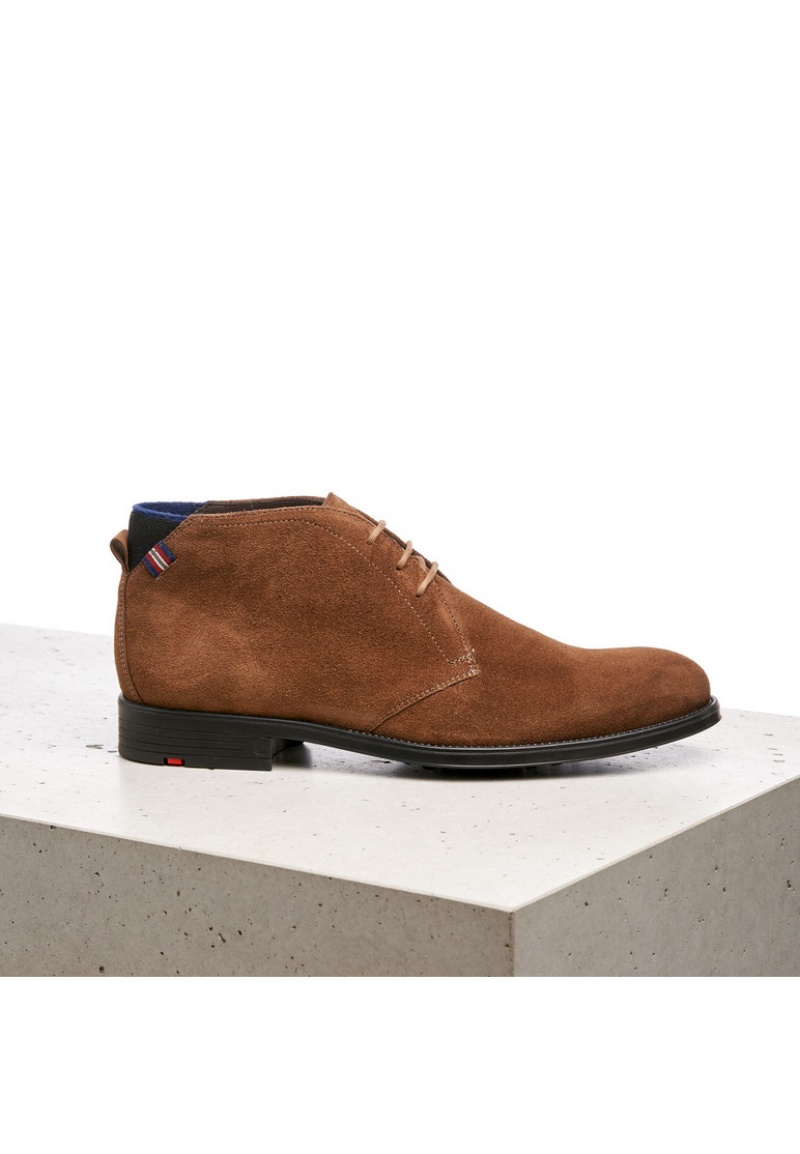 LLOYD PATRIOT Brown | AVC017296