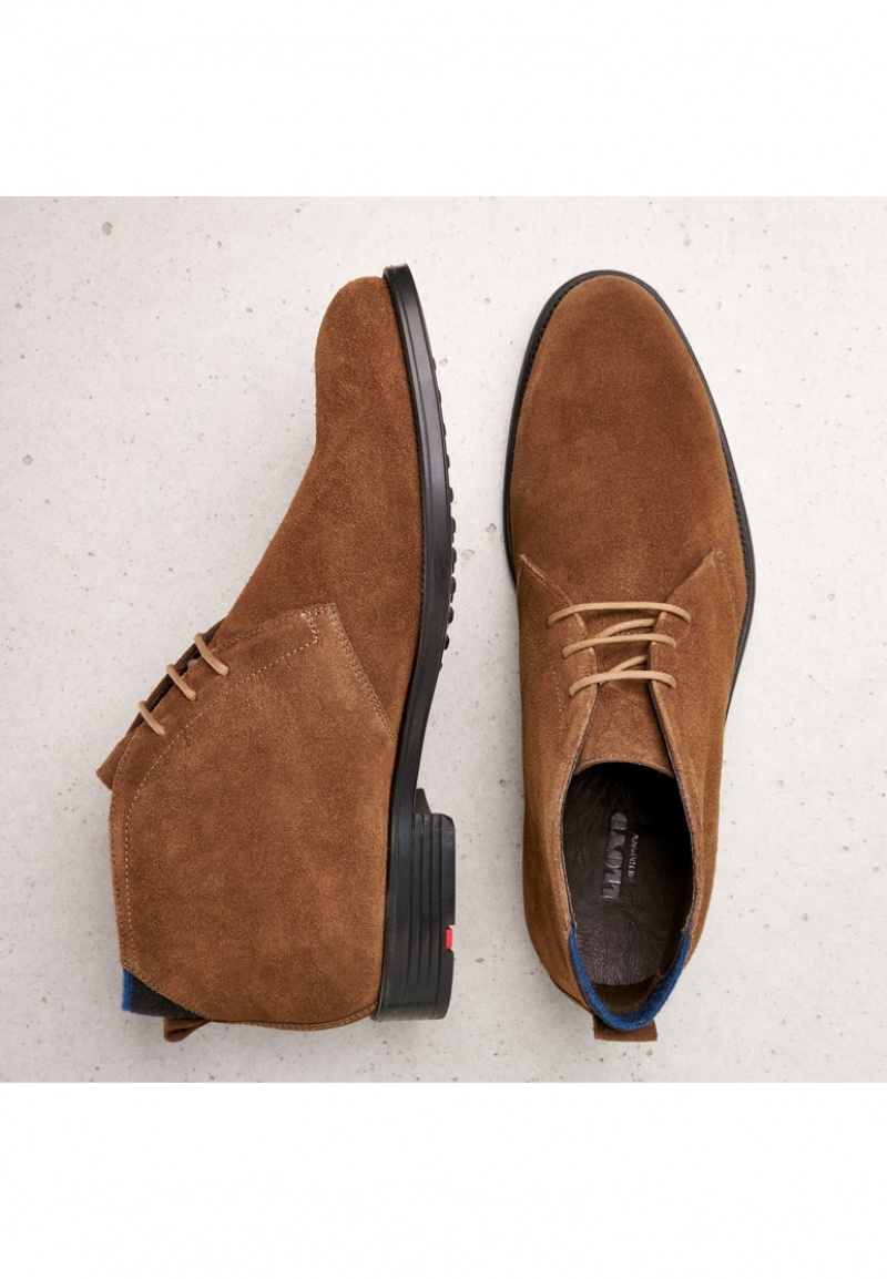 LLOYD PATRIOT Brown | AVC017296