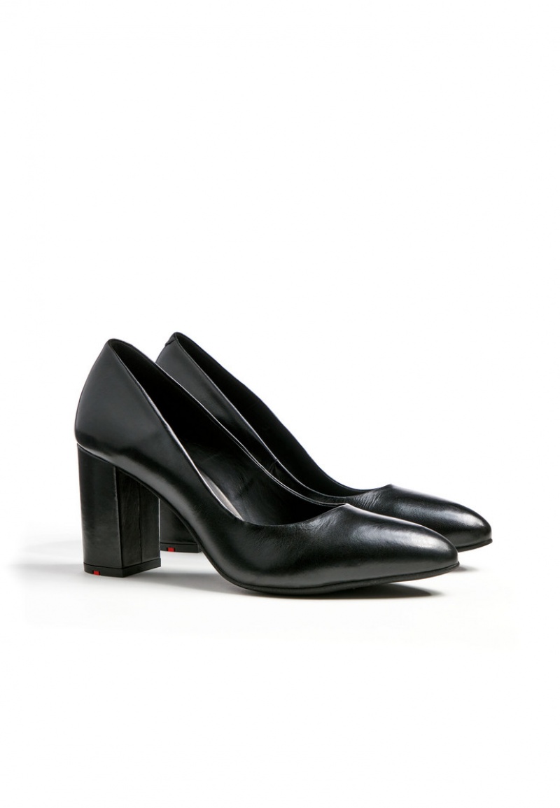 LLOYD PUMPS Black | CYL310798