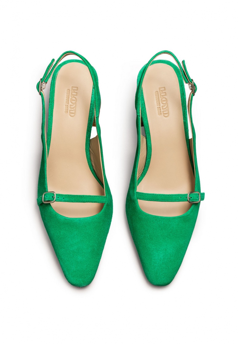 LLOYD PUMPS Green | NPE389167