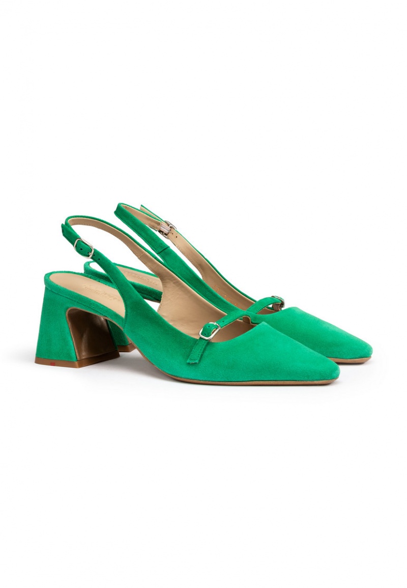 LLOYD PUMPS Green | NPE389167