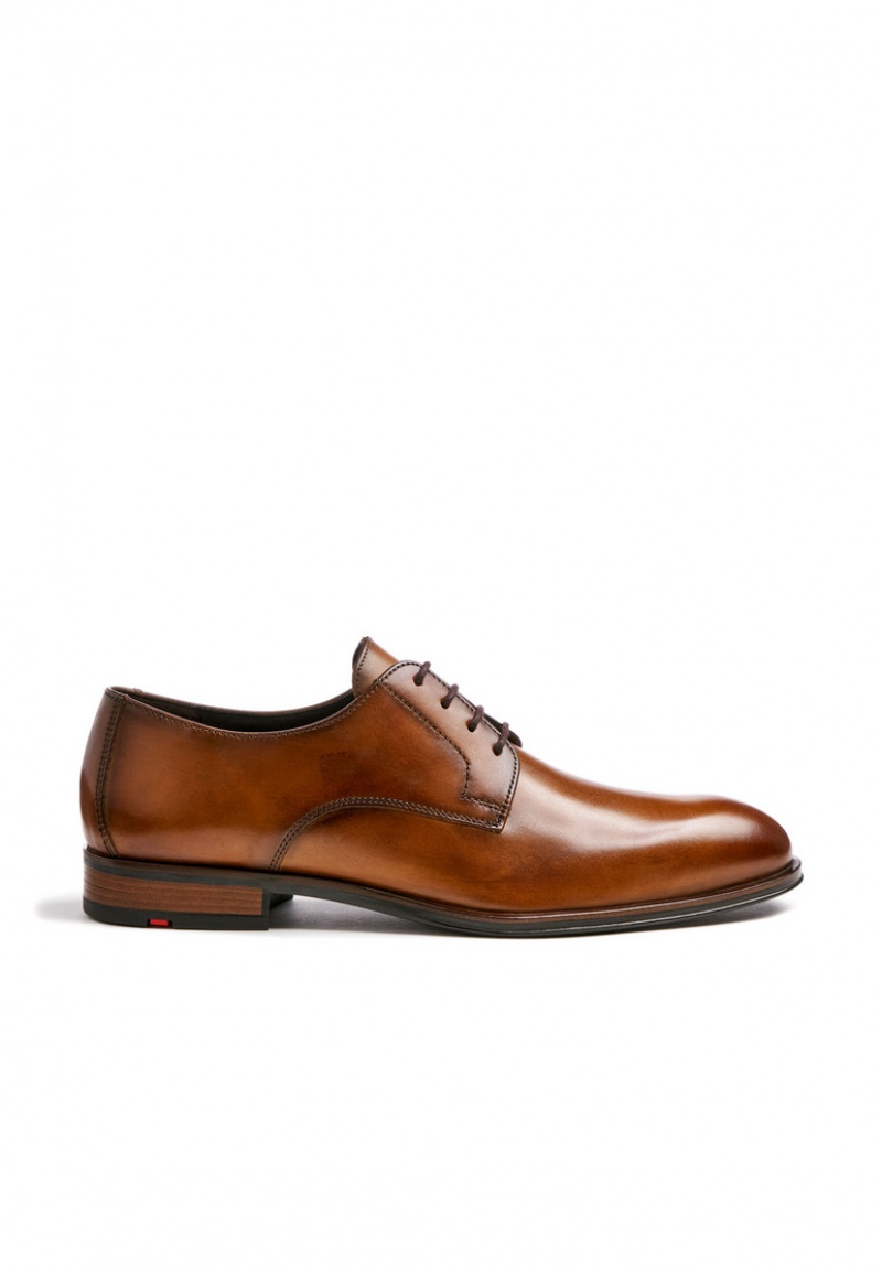 LLOYD SABRE Brown | CAN063592