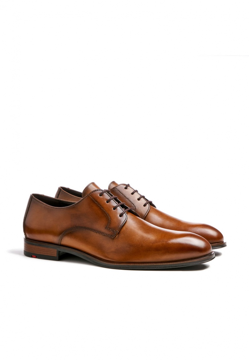 LLOYD SABRE Brown | CAN063592