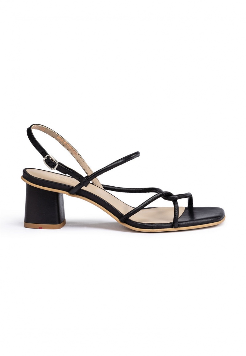 LLOYD SANDALS Black | MPU815347