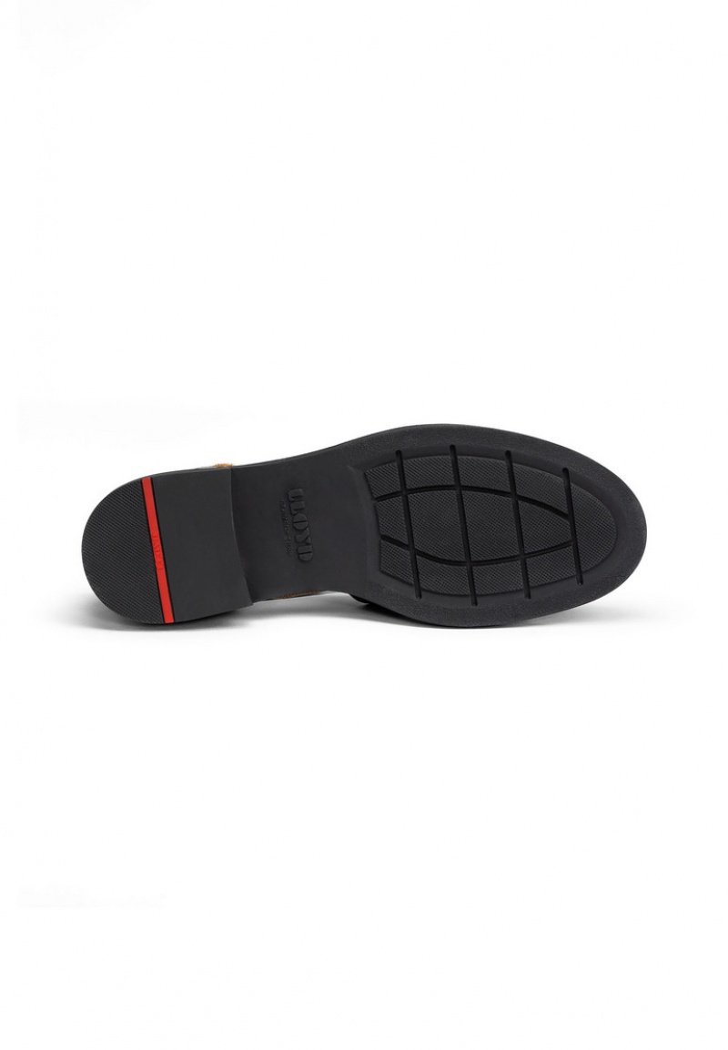 LLOYD SANDALS Black | WQR397615