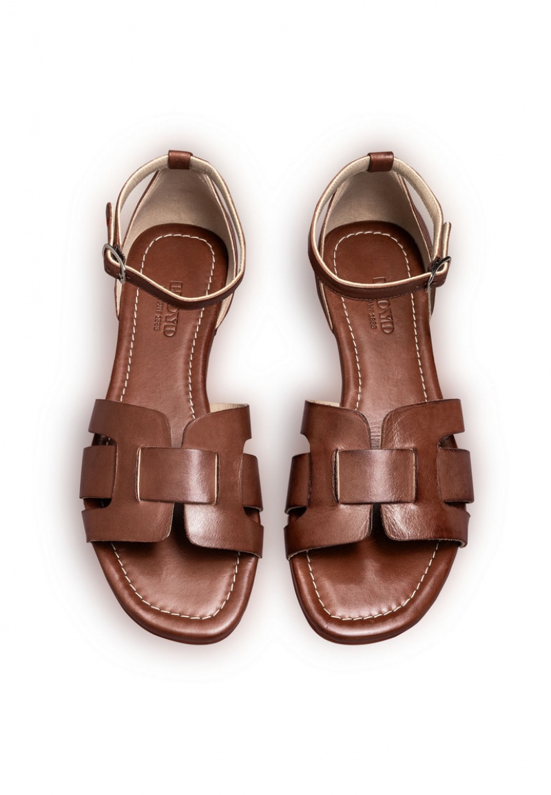 LLOYD SANDALS Brown | MWS092378