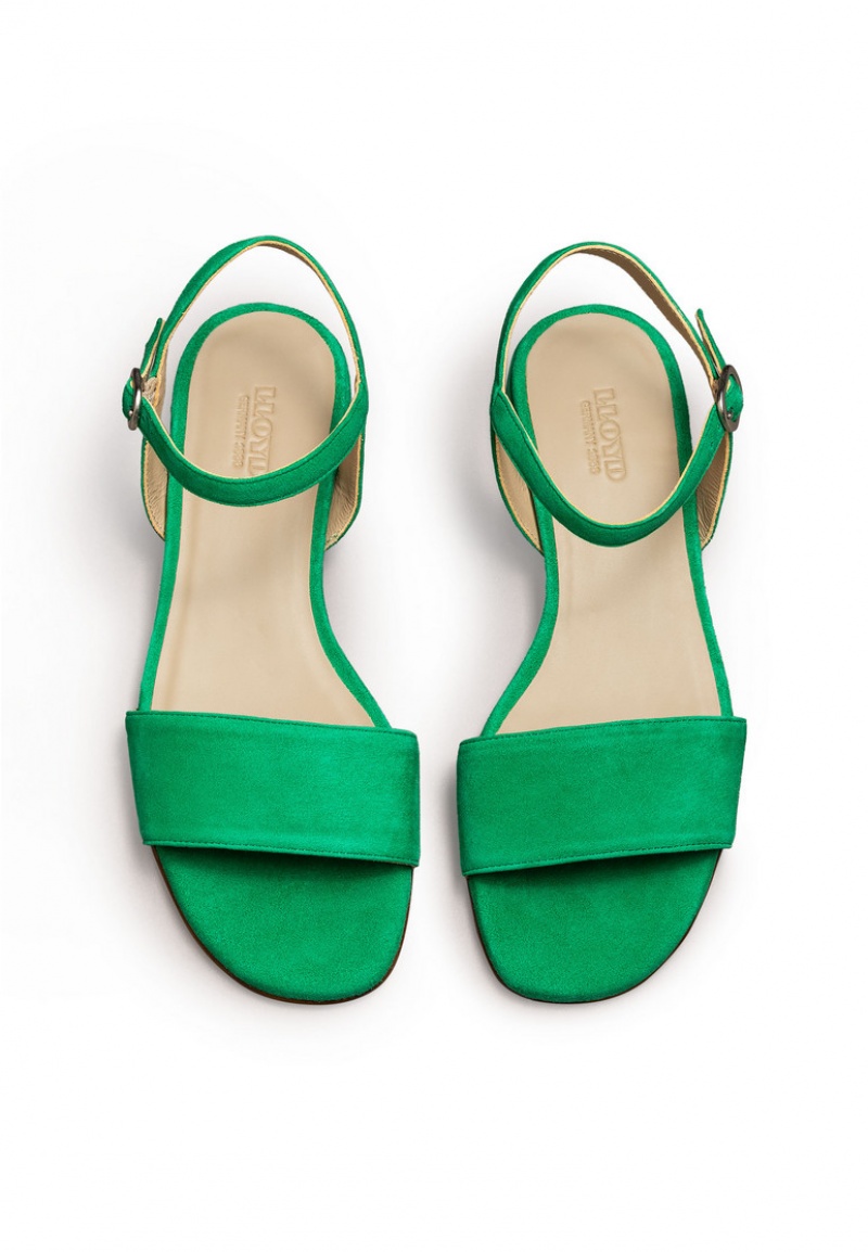 LLOYD SANDALS Green | YRC589740