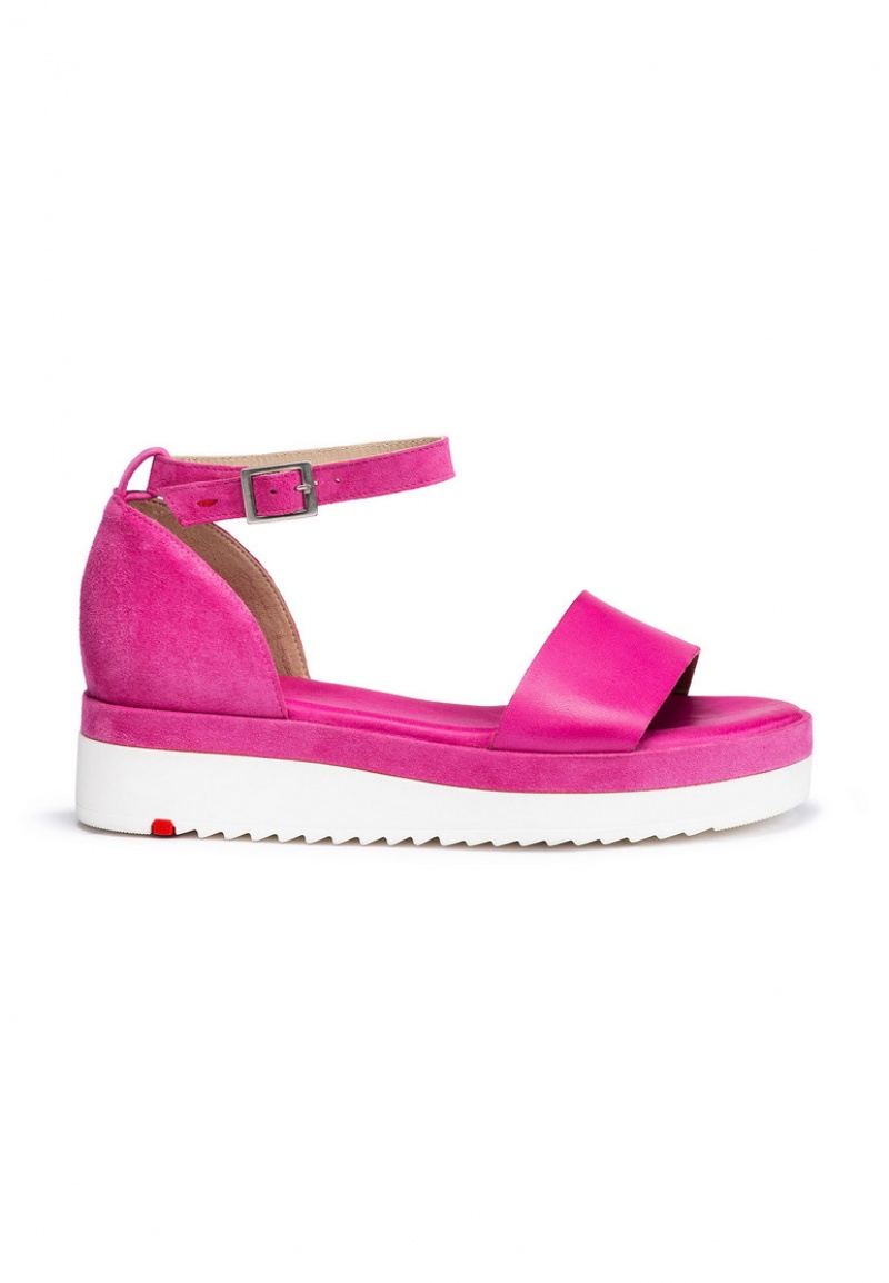 LLOYD SANDALS Pink | BKH360495