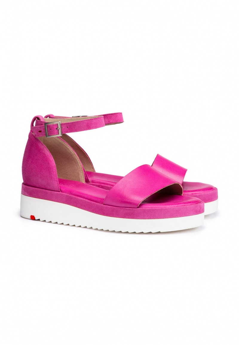 LLOYD SANDALS Pink | BKH360495