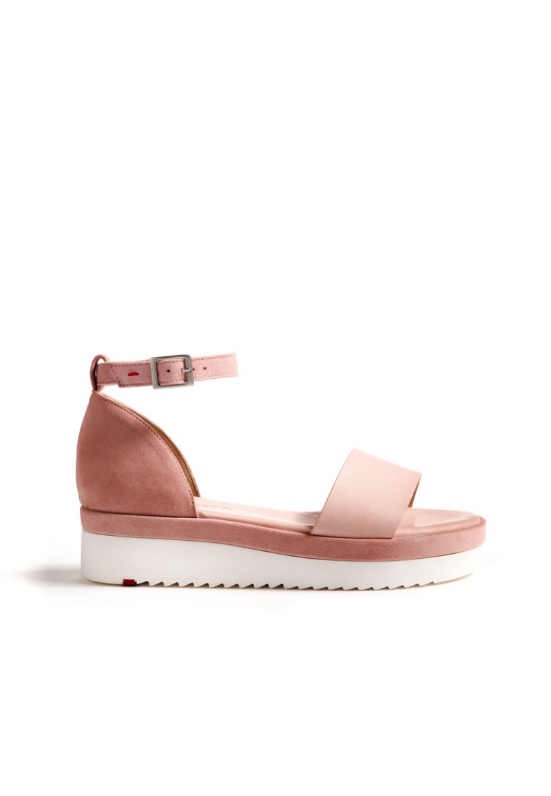 LLOYD SANDALS Pink | DWZ125863