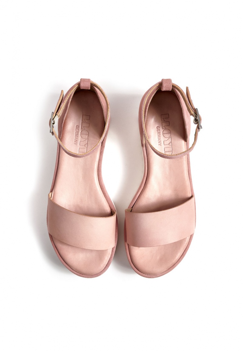 LLOYD SANDALS Pink | DWZ125863