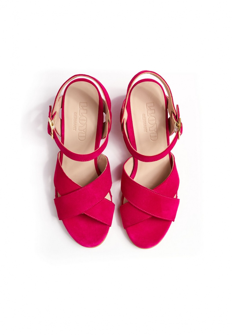 LLOYD SANDALS Pink | UQV613479