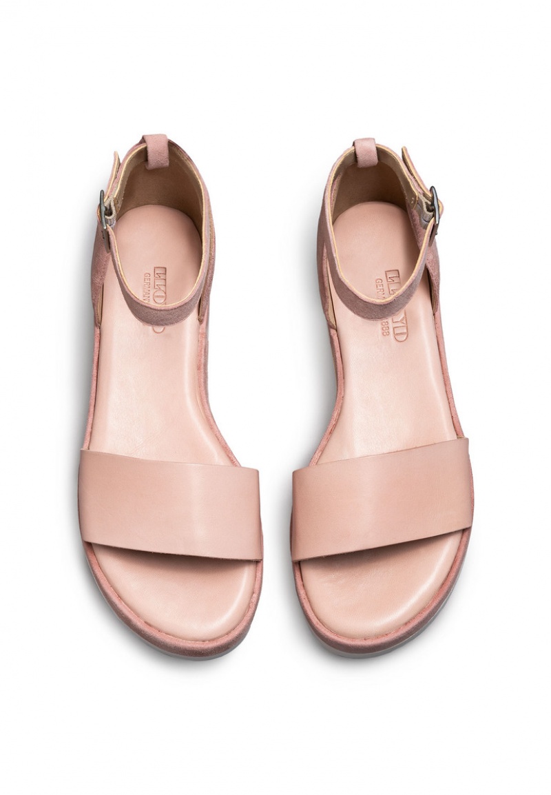 LLOYD SANDALS Pink | ZCA065841