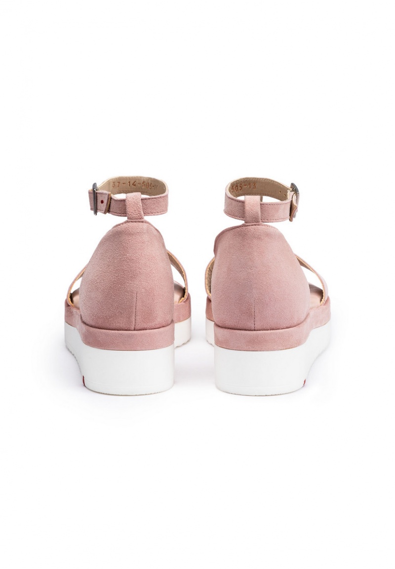 LLOYD SANDALS Pink | ZCA065841