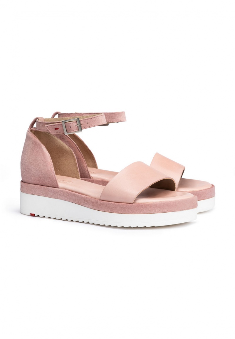 LLOYD SANDALS Pink | ZCA065841