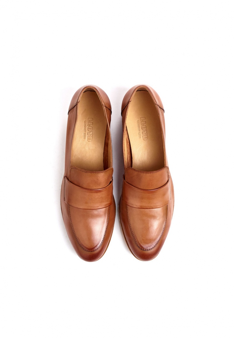 LLOYD SLIPPER Brown | GPR147829