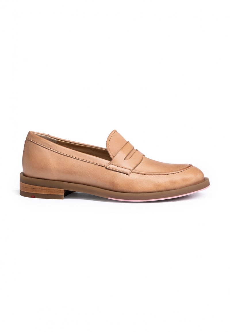 LLOYD SLIPPER Brown | JQT620734