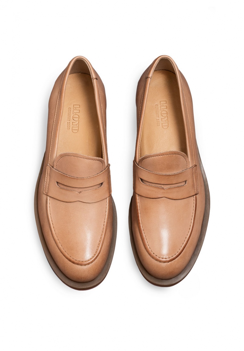 LLOYD SLIPPER Brown | JQT620734