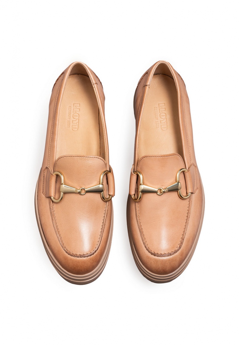 LLOYD SLIPPER Brown | MXI053812