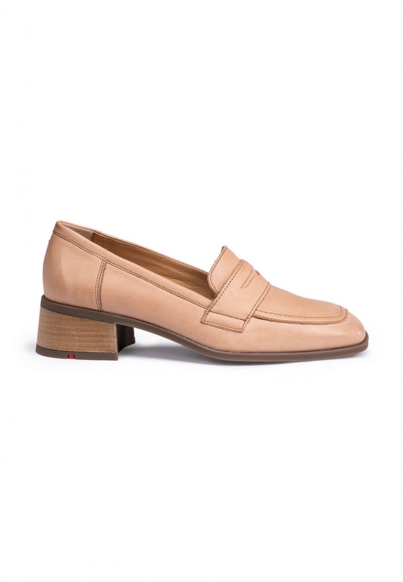 LLOYD SLIPPER Brown | TAQ709841