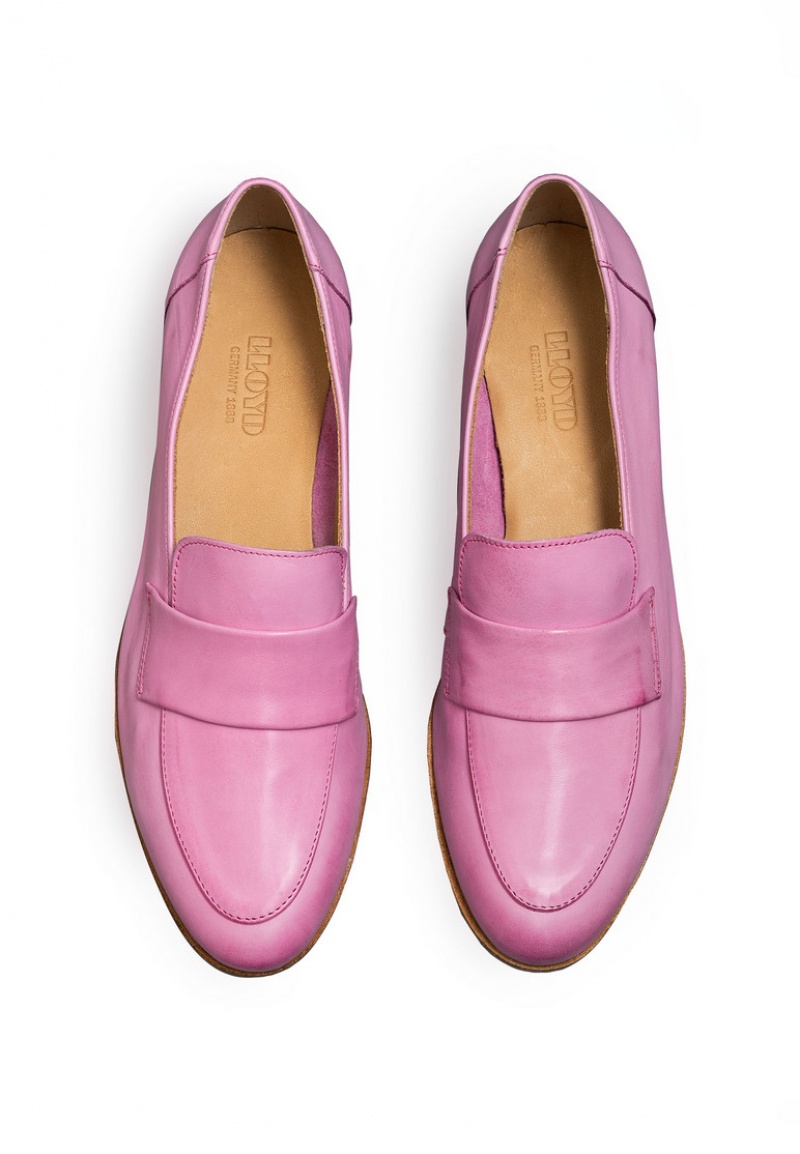 LLOYD SLIPPER Pink | DYF032654