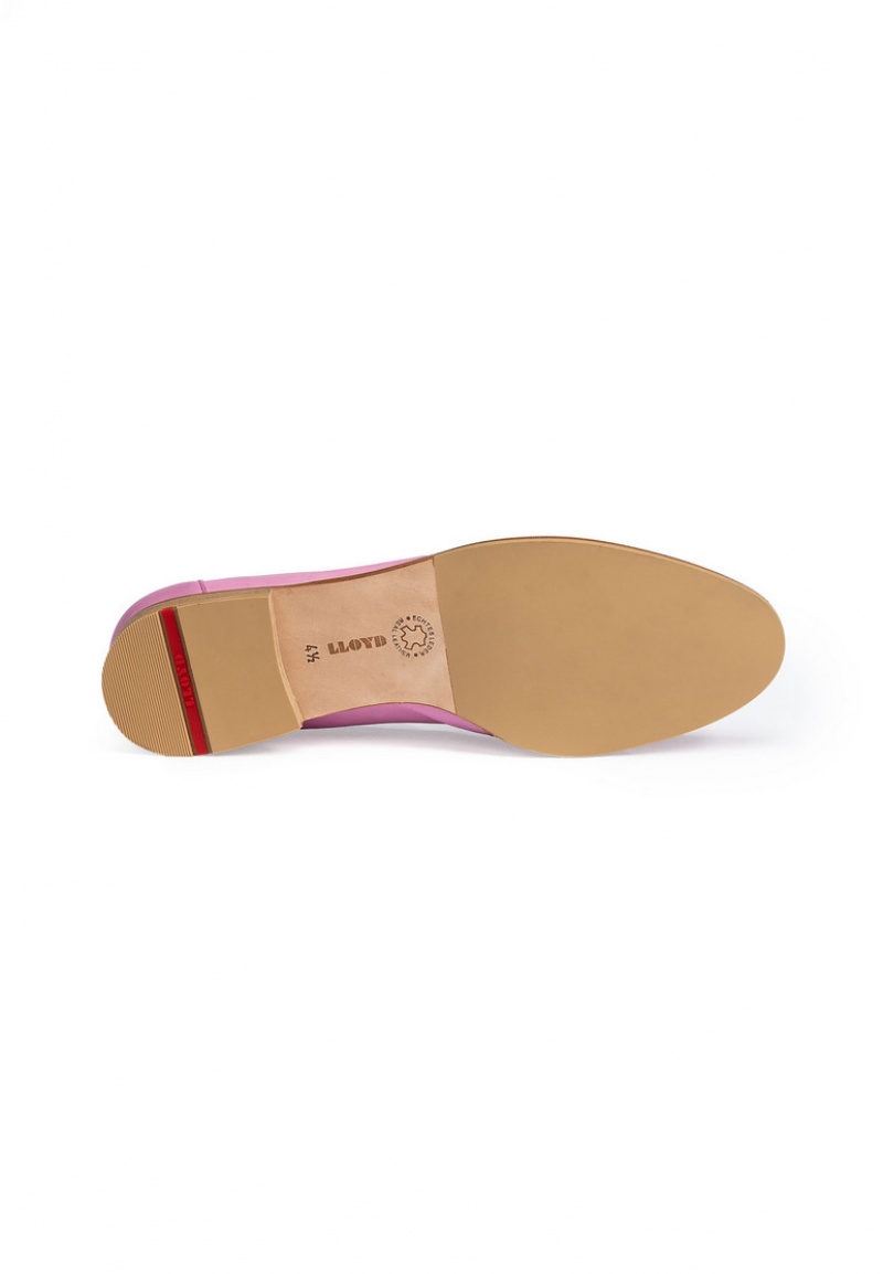 LLOYD SLIPPER Pink | DYF032654