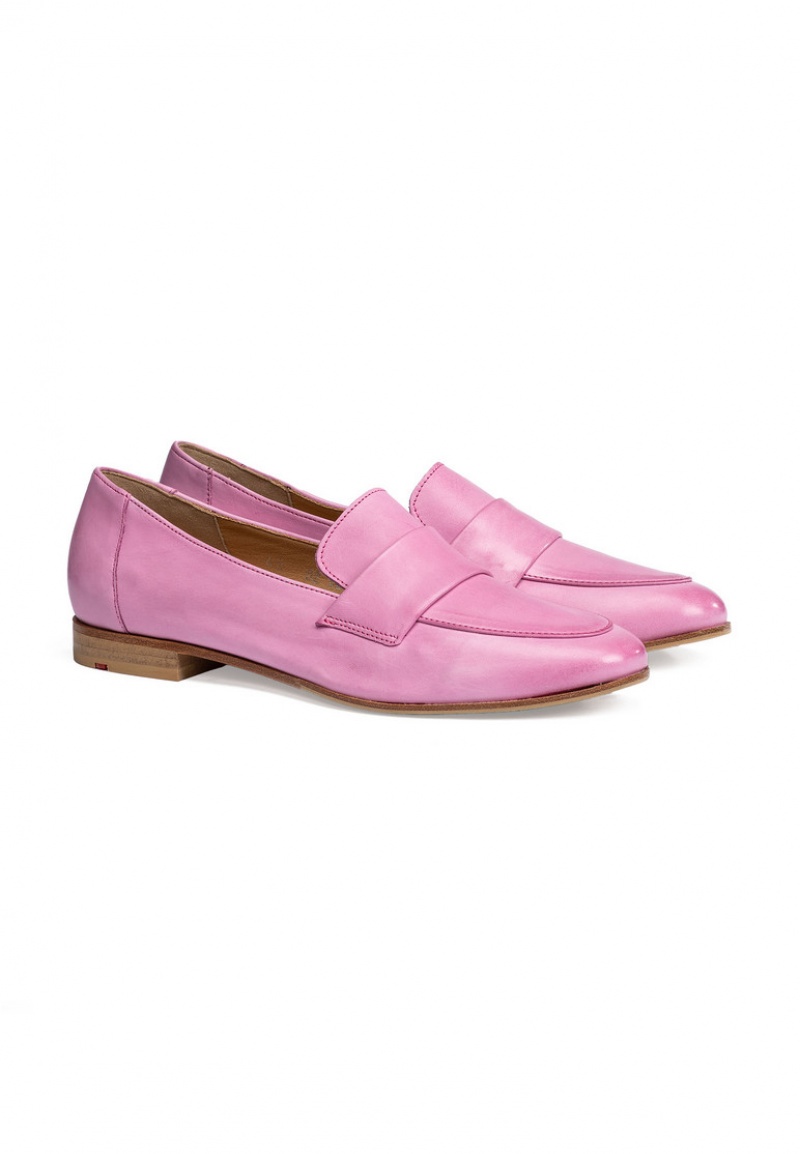 LLOYD SLIPPER Pink | DYF032654