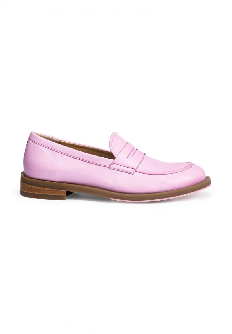 LLOYD SLIPPER Pink | MQX538279