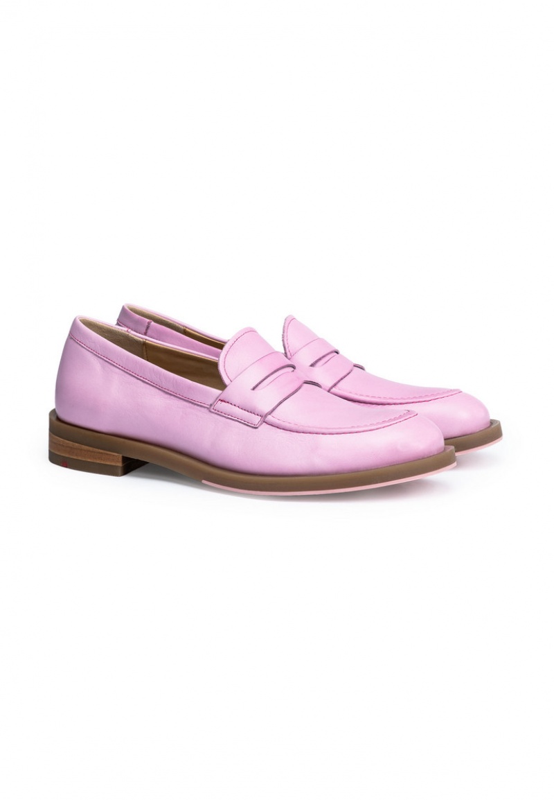 LLOYD SLIPPER Pink | MQX538279