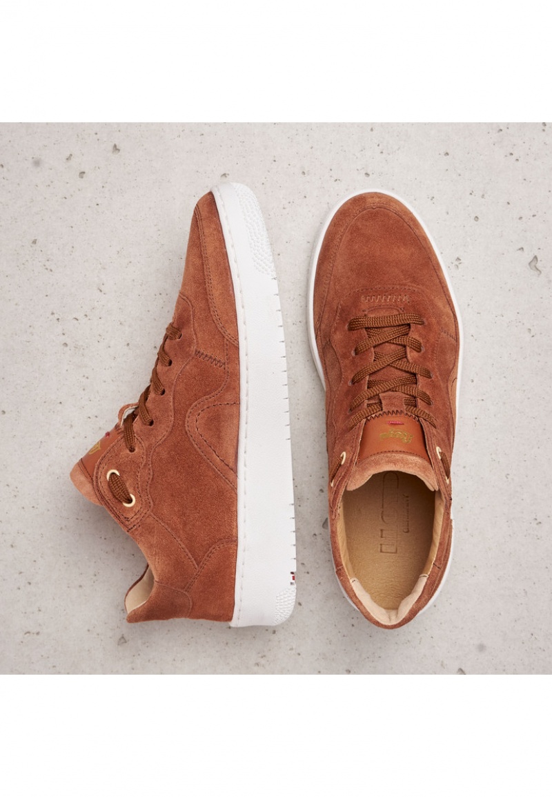 LLOYD SNEAKERS Brown | MEA743210