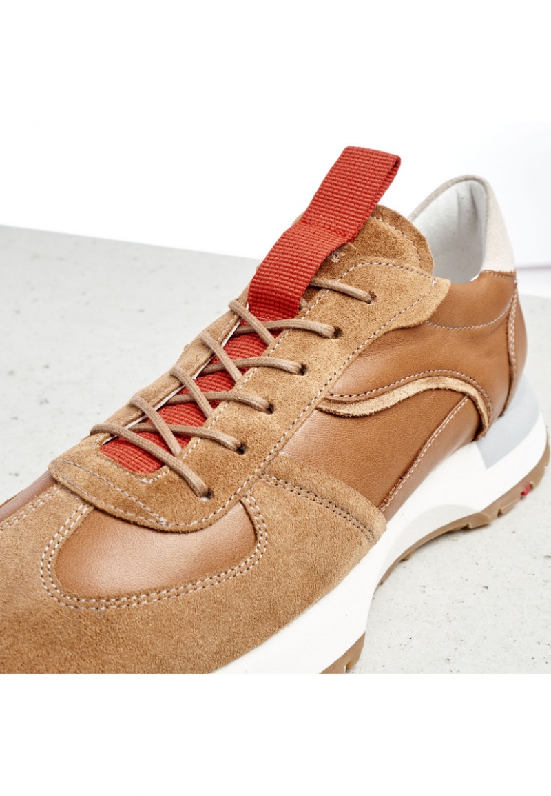 LLOYD SNEAKERS Brown | NJF054986