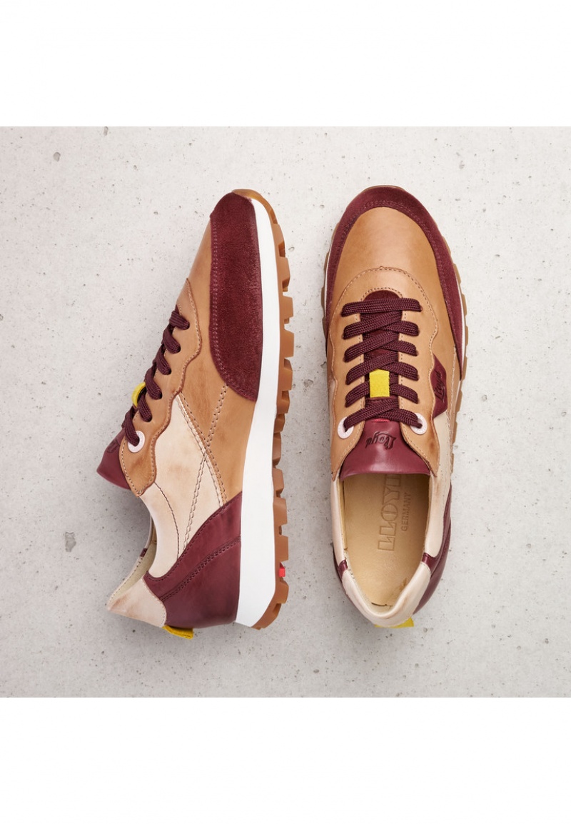 LLOYD SNEAKERS Brown / Red | VXH856301