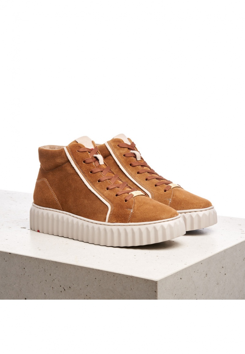 LLOYD SNEAKERS Brown | UJI457632