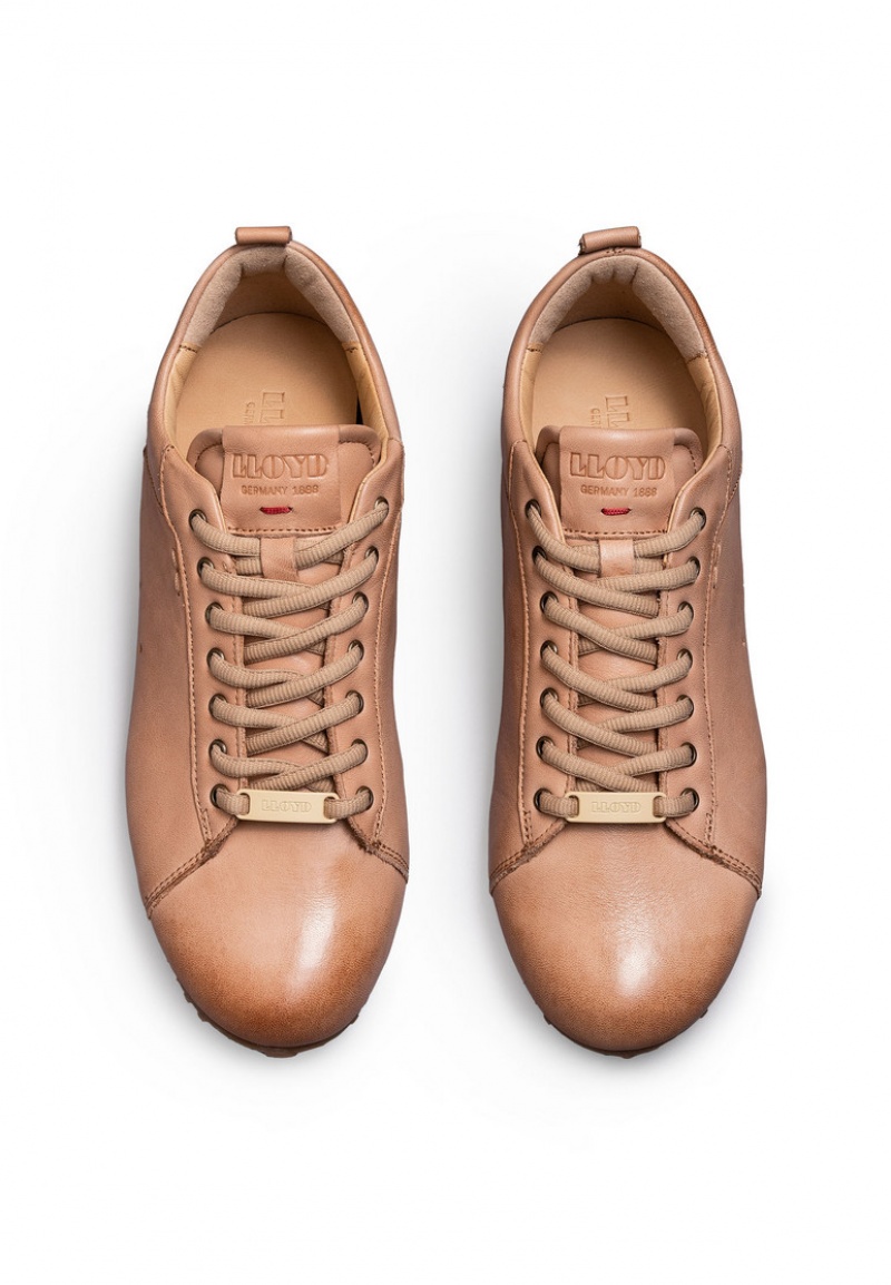 LLOYD SNEAKERS Brown | UWR673982