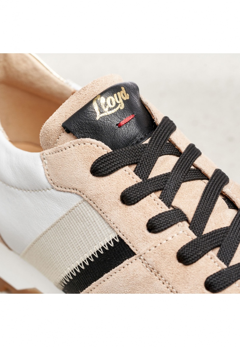 LLOYD SNEAKERS White / Brown | TQF729168