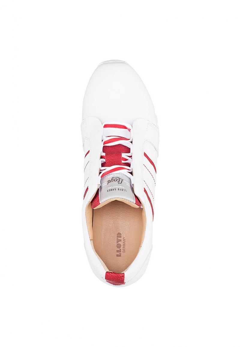 LLOYD SNEAKERS White | UQZ378096