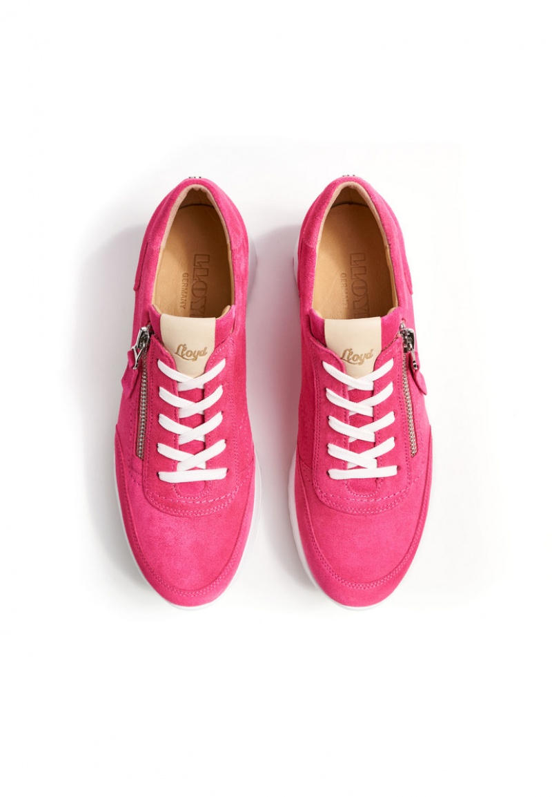 LLOYD SNEAKER Pink | VGQ293617