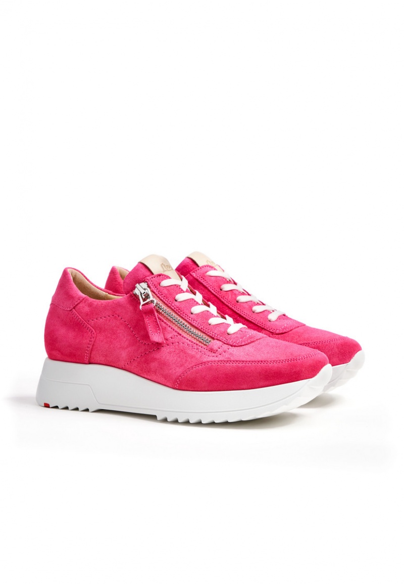 LLOYD SNEAKER Pink | VGQ293617