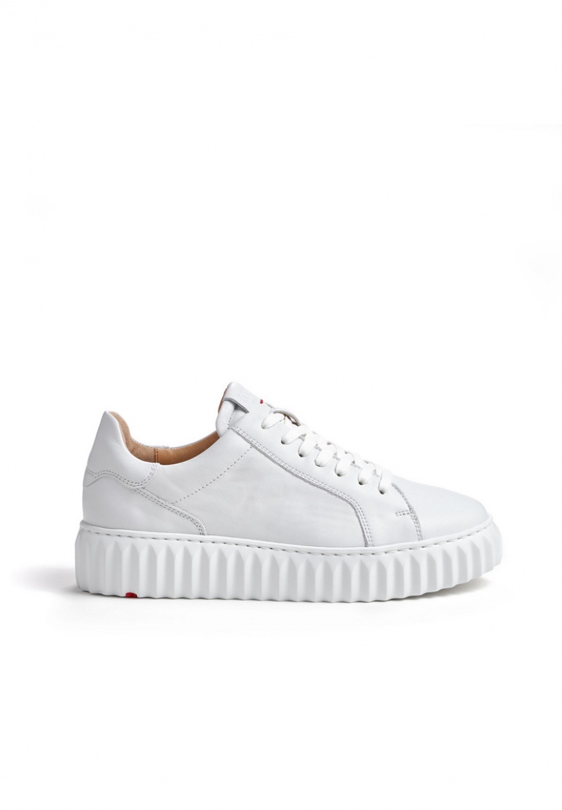 LLOYD SNEAKER White | GED830459