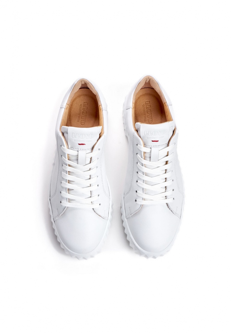 LLOYD SNEAKER White | GED830459